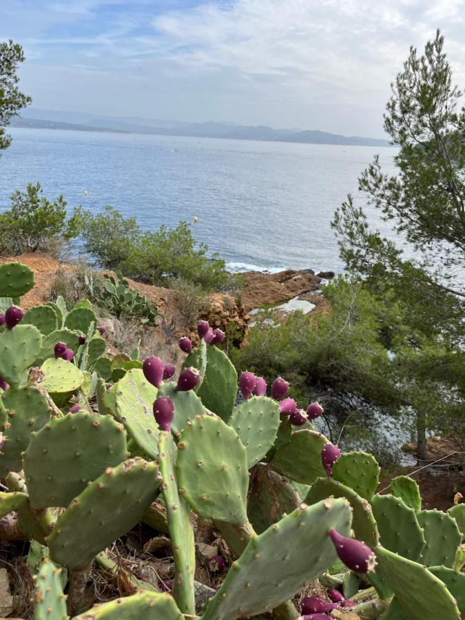 Apartament Vieux Port La Ciotat 1 Zewnętrze zdjęcie